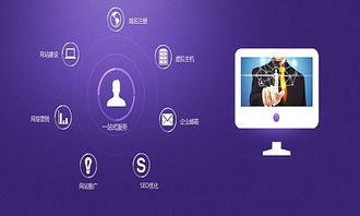 網(wǎng)站建設(shè)解密 如何搭建尖端型網(wǎng)站？CCTV上榜品牌靈貓電商為你指點(diǎn)迷津